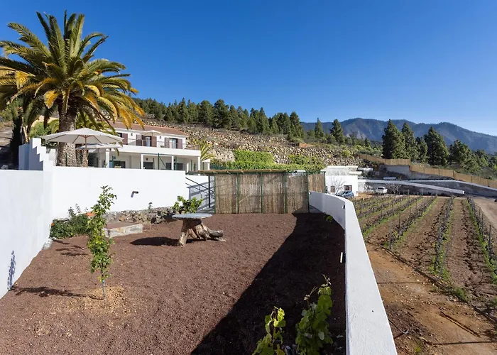 فيلة La Palmera, Infinite Views *